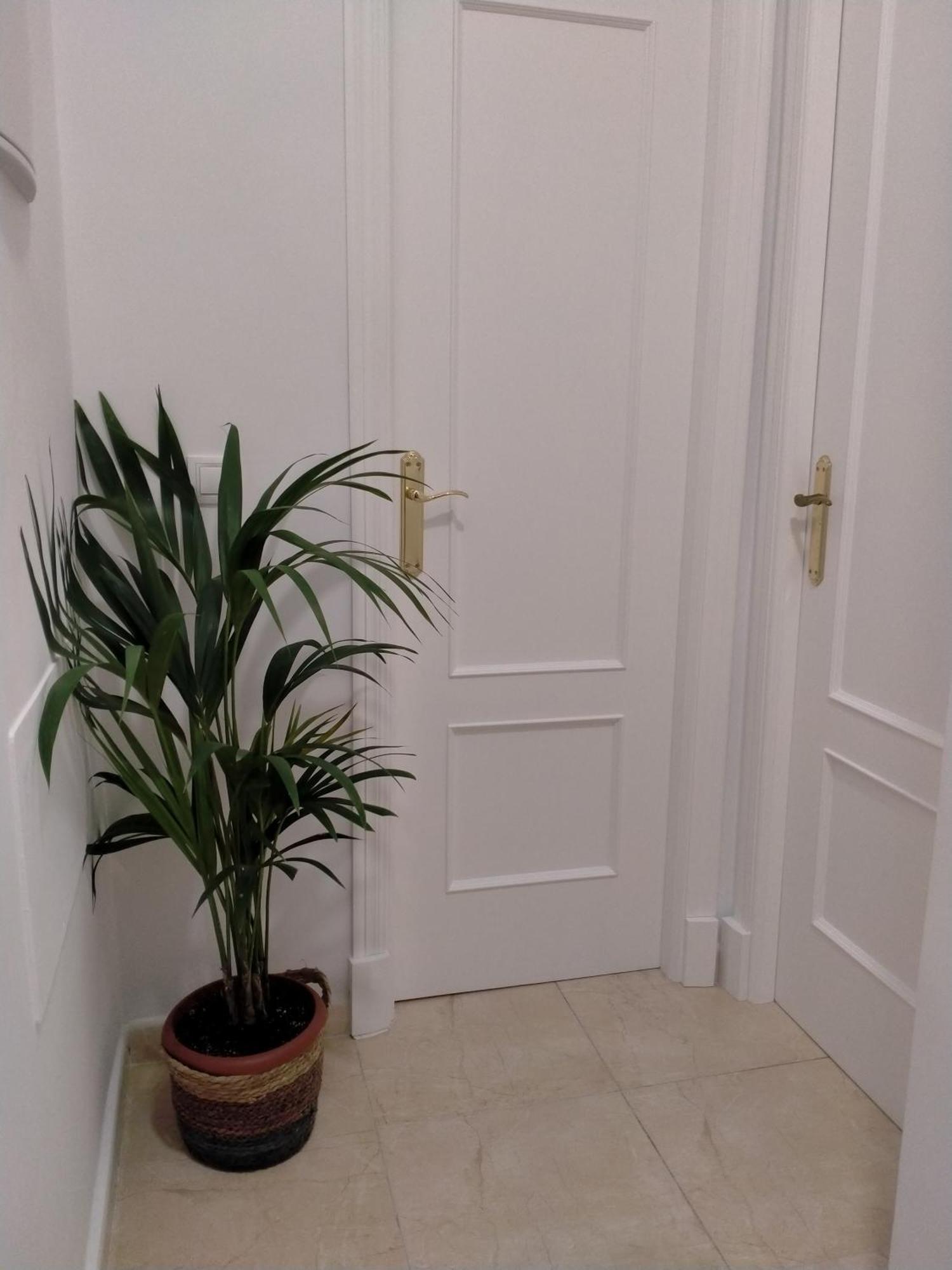 Apartamento Las Tres Lunas Sanlúcar de Barrameda Exterior foto